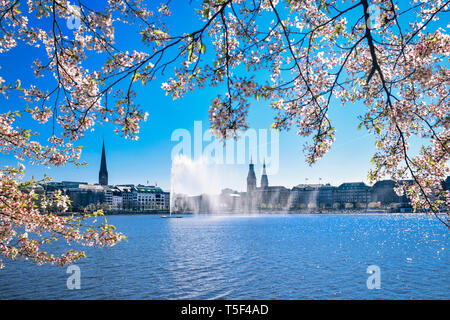 Interna al lago Alster Amburgo, Germania, Europa Foto Stock