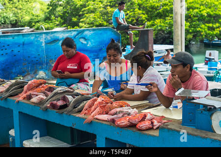 Venditori di pesce presentando il pescato del giorno, mercato del pesce, Puerto Ayuro, Isola di Santa Cruz, Isole Galapagos, Ecuador Foto Stock