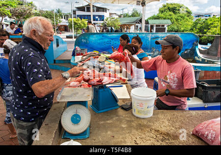 La vendita del pesce al mercato del pesce di Puerto Ayuro, Isola di Santa Cruz, Isole Galapagos, Ecuador Foto Stock