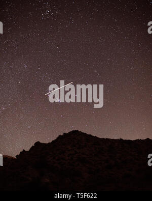 Star riempito il cielo notturno su Joshua Tree in California Foto Stock