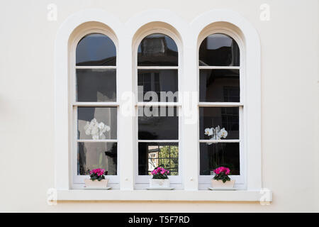 Scatole di finestra ad arco e finestre della casa di Victoria Grove, Kensington, Londra, Inghilterra Foto Stock