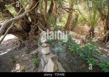 Il vecchio canale irriguo presso la storica Misión San Francisco Javier de Viggé-Biaundó in San Javier, BCS, Messico. Foto Stock