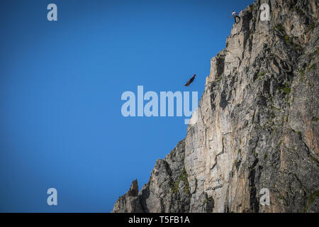 CHAMONIX, Francia - Luglio 05: un ponticello wingsuit saltare da una scogliera in brevent, Auvergne-Rhône-Alpes, Chamonix, Francia il 5 luglio 2015 a Chamonix, Francia. (Foto di Fred Marie/Arte in tutti noi/Corbis via Getty Images) Foto Stock