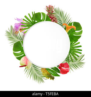 Cornice di verde foglie tropicali e fiori su sfondo bianco Foto Stock