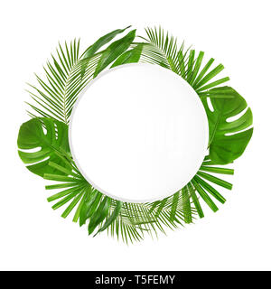 Cornice di verde foglie tropicali su sfondo bianco Foto Stock