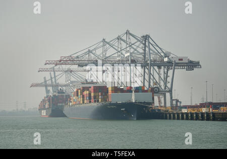 Contenitore nave al molo di Southampton, Hampshire, Inghilterra, Regno Unito. Foto Stock