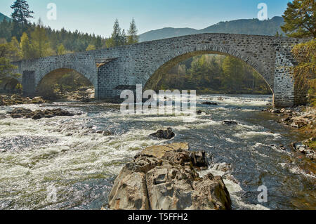 INVERCAULD BRIDGE O BRIGA O' DEE ABERDEENSHIRE in Scozia la campagna e il fiume Dee IN PRIMAVERA Foto Stock