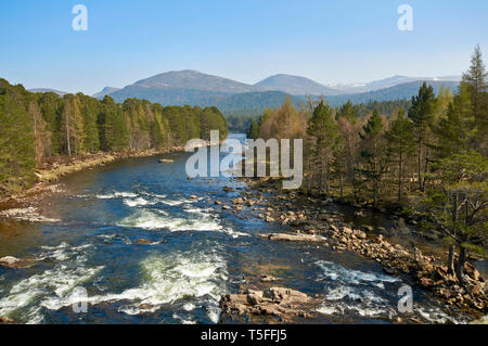 INVERCAULD BRIDGE O BRIGA O' DEE ABERDEENSHIRE Scozia vista dal ponte del fiume Dee IN SPRINTIME GUARDANDO VERSO LOCHNAGAR Foto Stock