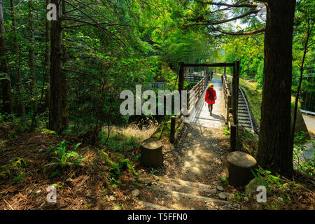 Donna attraversando un ponte in Kumano Kodo pellegrinaggio trek, Giappone Foto Stock