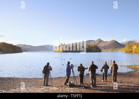Un gruppo di fotografi con treppiedi sulle rive di Derwentwater guardando verso il Derwent Isle e Catbells, Lake District, England, Regno Unito Foto Stock