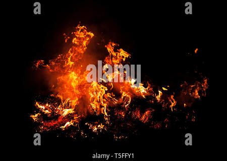 Vigili del fuoco di fiamma su nero. La masterizzazione di erba. Foto Stock