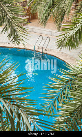 Piscine circondate da palme lussureggianti e evergreen in piante tropicali giardino Foto Stock