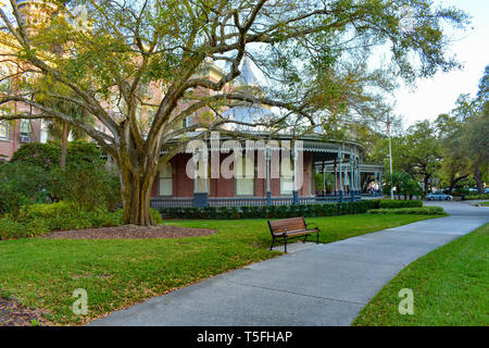 Baia di Tampa, Florida. Marzo 02, 2019. Giardini interni e una galleria di immagini da Henry B. Museo di piante in downtown area (1) Foto Stock