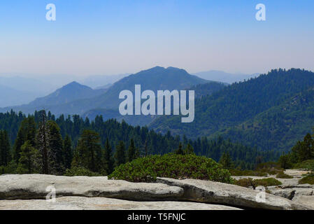 Vista panoramica nel Parco Nazionale di Sequoia Foto Stock