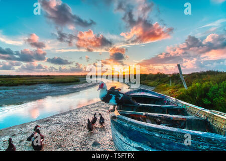 Tramonto spettacolare con barche e anatre nel parco naturale di Salinas de Carboneros, in Chiclana de la Frontera, una città turistica in provincia di Cadice, S Foto Stock