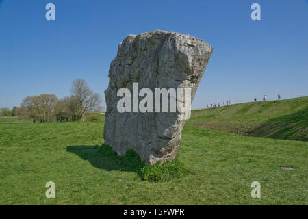 I visitatori di antiche di Avebury henge neolitico monumento contenente tre cerchi di pietre, nel Wiltshire, Southwest England, Regno Unito Foto Stock