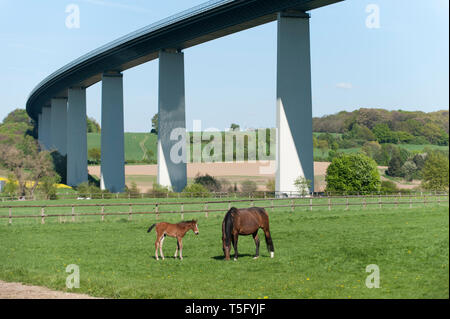 Ruhrtalidylle mit Pferden Foto Stock