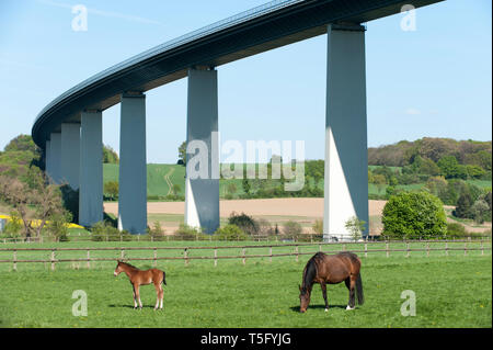 Ruhrtalidylle mit Pferden Foto Stock