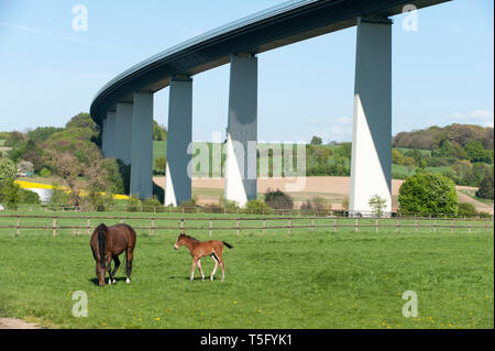 Ruhrtalidylle mit Pferden Foto Stock