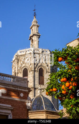 Torre El Miguelet, Torre della Cattedrale di Valencia, Spagna albero arancione di Valencia Foto Stock