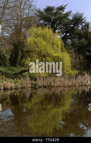 Viste di Perth come sole primaverile risveglia la natura in tutta la città della fiera. Foto Stock
