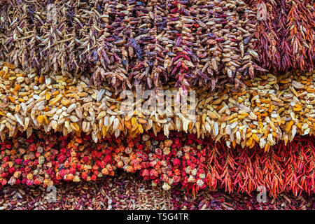 Piante essiccate su un mercato in Funchal sull isola di Madeira, Portogallo. Foto Stock