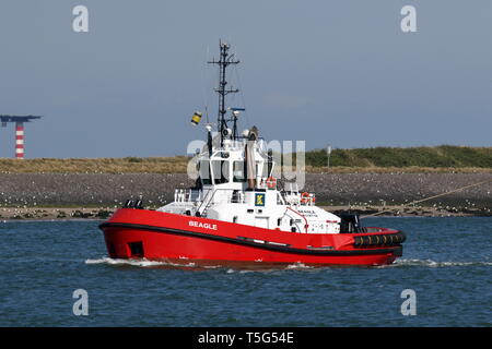 Il porto rimorchiatore Beagle opere Aprile 10, 2019 nel porto di Rotterdam. Foto Stock