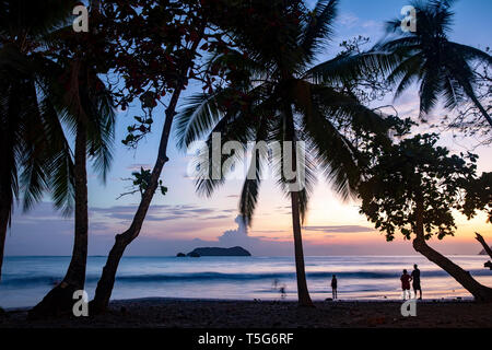 Tramonto attraverso gli alberi di palme sulla Espadilla Norte Beach, Manuel Antonio, Quepos, Costa Rica Foto Stock