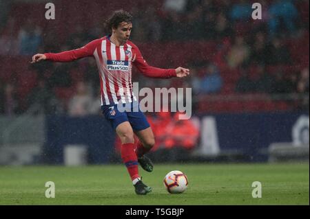 Madrid, Spagna. 24 apr, 2019. Madrid, Spagna; 24/04/2019. Di calcio La Liga corrispondono 34, Atletico de Madrid contro il Valencia FC tenutosi presso la Wanda Metropolitano Stadium, a Madrid. Antoine Griezmann Atletico de Madrid Player Credito: Juan Carlos Rojas/Picture Alliance | in tutto il mondo di utilizzo/dpa/Alamy Live News Foto Stock