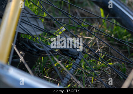 Immagine ravvicinata di un deragliatore posteriore di bicicletta che stabilisce in erba Foto Stock