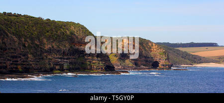 Visitare l'Australia. Viste e scenic dell Australia. I ruscelli e i paesaggi. Cape Schanck Foto Stock