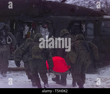 Aprile 24, 2019 - Strpce, Kosovo, Jugoslavia - Polacco paracadutisti portano una vittima di un esercito americano UH-60 Black Hawk elicottero durante l evacuazione medica formazione in Strpce, Kosovo, Iugoslavia, 19 gennaio 2000..il Kosovo era l'esercito polacco della prima distribuzione come un membro della NATO. (Credito Immagine: © Bill Putnam/ZUMA filo) Foto Stock