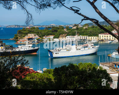 L'Italia, Campania, Ischia, Forio, Porto Foto Stock