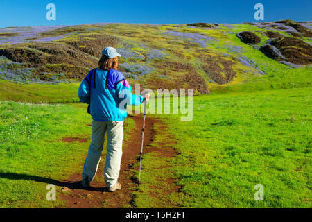 Escursionista, Nord Table Mountain Riserva Ecologica, California Foto Stock