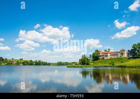 Il castello di Svirzh, Oblast di Lviv, Ucraina Foto Stock