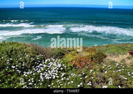 Bordo scogliera guardando l'Oceano Atlantico e coperta di vegetazione e di splendidi fiori in Azenhas do Mar a Lisbona, Portogallo Foto Stock