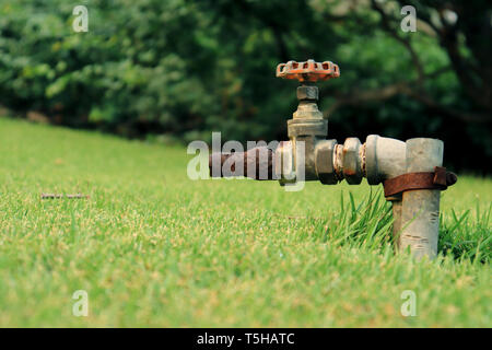 Rubinetto acqua dal rubinetto acqua valvola, valvola a saracinesca di il giardino verde ad alta risoluzione galleria dell'immagine. Foto Stock