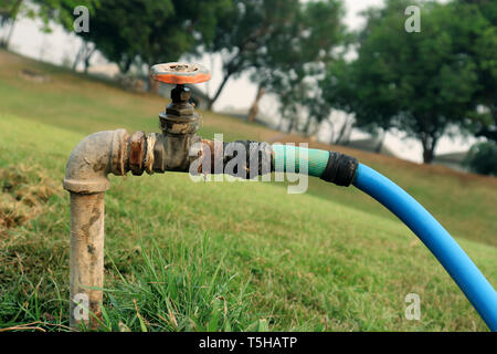 Rubinetto acqua dal rubinetto acqua valvola, valvola a saracinesca di il giardino verde ad alta risoluzione galleria dell'immagine. Foto Stock