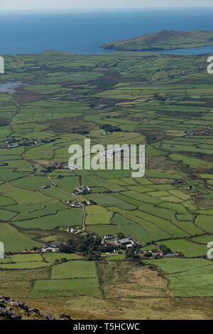 Hecken und Steinmauern trennen Felder in der Grafschaft Kerry. / Siepi e le mura in pietra dei campi separati in Co. Kerry in Irlanda dell'Ovest. Foto Stock