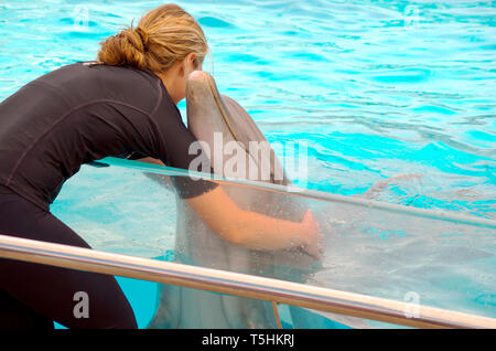 Un allenatore femmina abbracci un delfino maggiore al Texas State Aquarium di spettacolo di delfini nel Corpus Christi, Texas USA. Foto Stock
