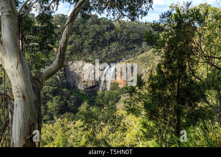 Vista panoramica della parte inferiore della caduta alla Ebor cade a Guy Fawkes River, northern NSW, Australia Foto Stock