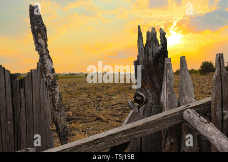 Vecchia staccionata in legno. Close-up con la stoppia nel tramonto sfondo dietro Foto Stock