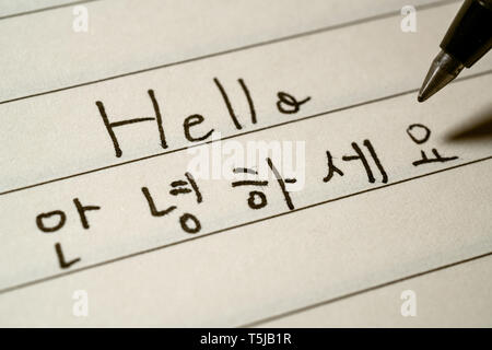 Principiante lingua coreana studente iscritto Hello Word in caratteri coreani su un notebook di ripresa macro Foto Stock