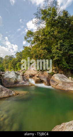 Fiume vivaci e alberi in Nepal Foto Stock