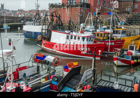 Il porto interno a Dunbar in East Lothian pieno di barche da pesca e reti e pentole sulla costa sud est della Scozia Foto Stock