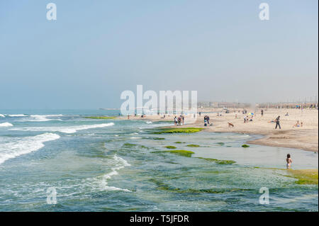 Israele, Tel Aviv-Yafo - 13 Aprile 2019: una spiaggia segreta Foto Stock