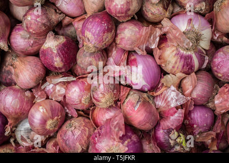 Un mazzetto di coltivati biologicamente cipolle rosse in un mercato Foto Stock
