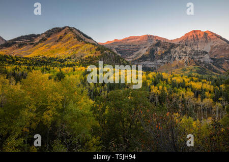 Autunno a colori sunrise, Mount Timpanogos, Montagne Wasatch, Utah Foto Stock