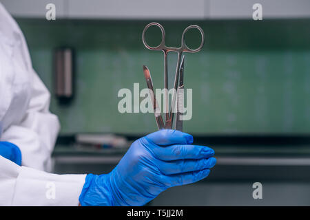 Una gomma guanti contiene due bisturi e un morsetto Foto Stock