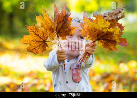 Piccolo felice ragazza con foglie autunnali Foto Stock